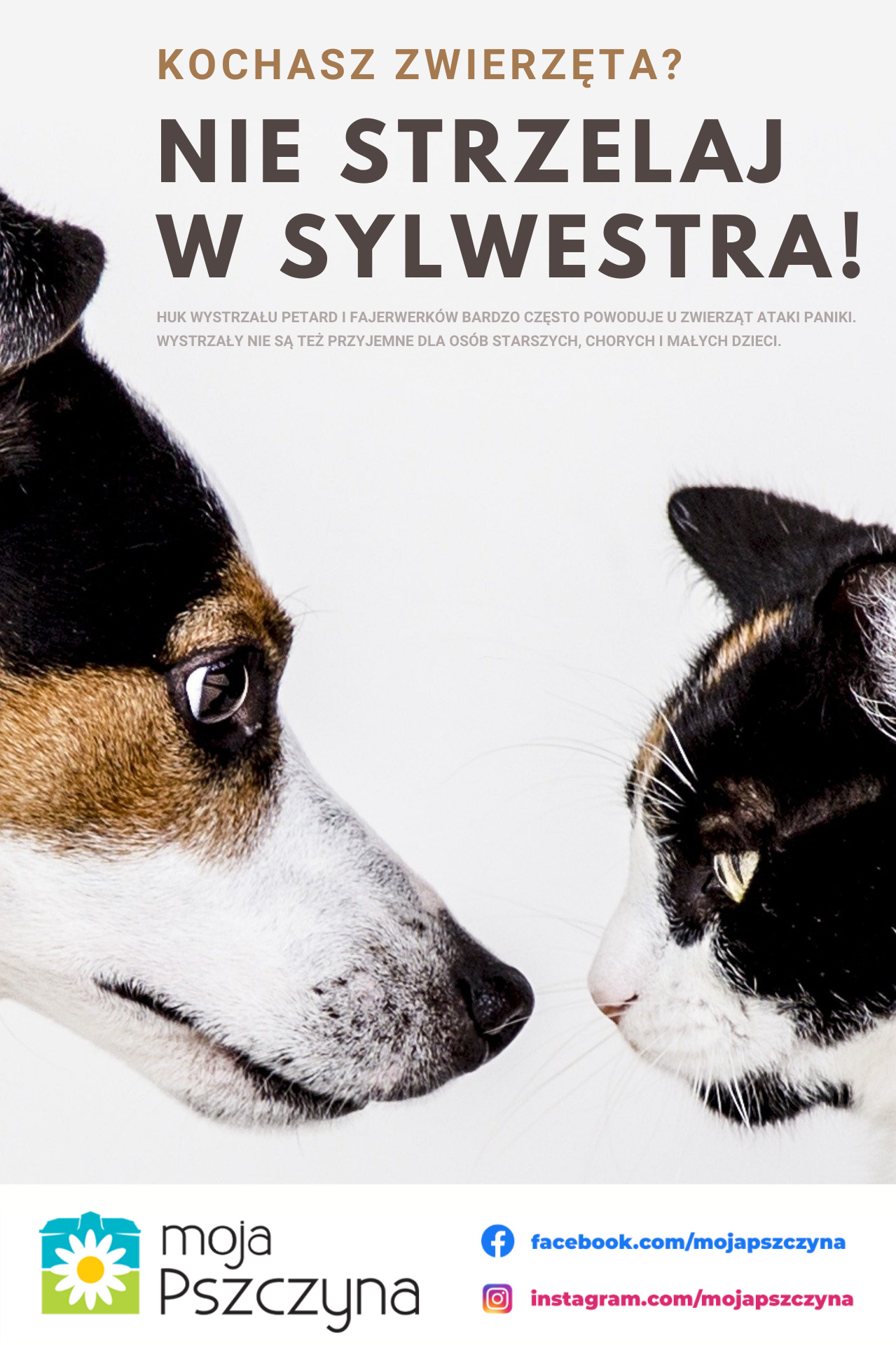 &quot;Nie strzelaj w Sylwestra&quot;